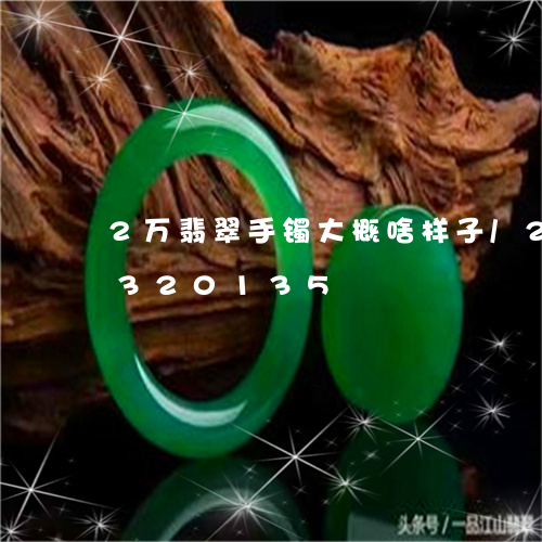 2万翡翠手镯大概啥样子/2023031320135