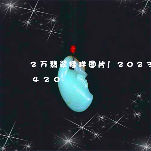 2万翡翠挂件图片/2023042781420