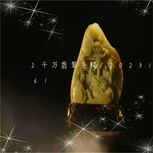 2千万翡翠手镯/2023121606161