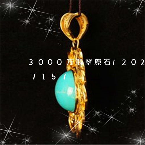 3000万翡翠原石/2023110157157