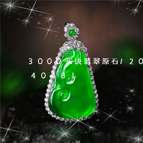 3000买块翡翠原石/2023072240481