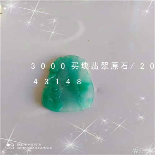 3000买块翡翠原石/2023072243148