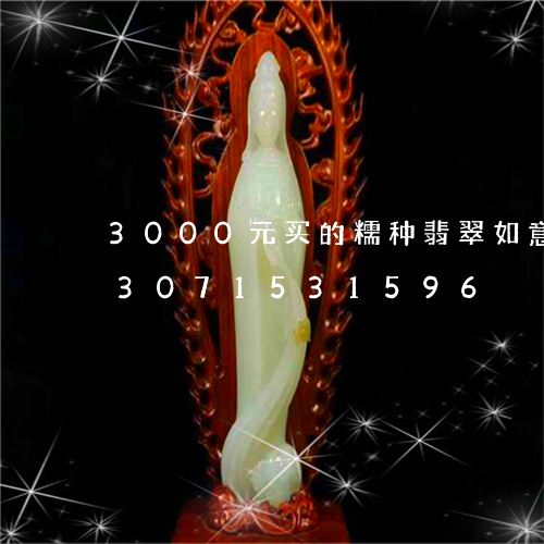 3000元买的糯种翡翠如意吊坠/2023071531596