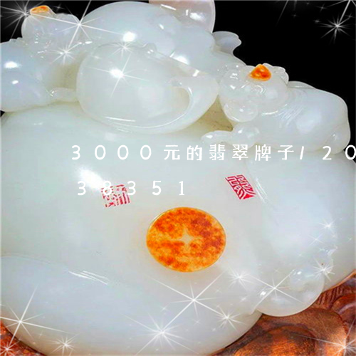 3000元的翡翠牌子/2023072238351