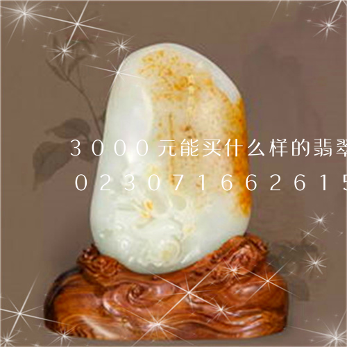 3000元能买什么样的翡翠牌子挂件/2023071662615