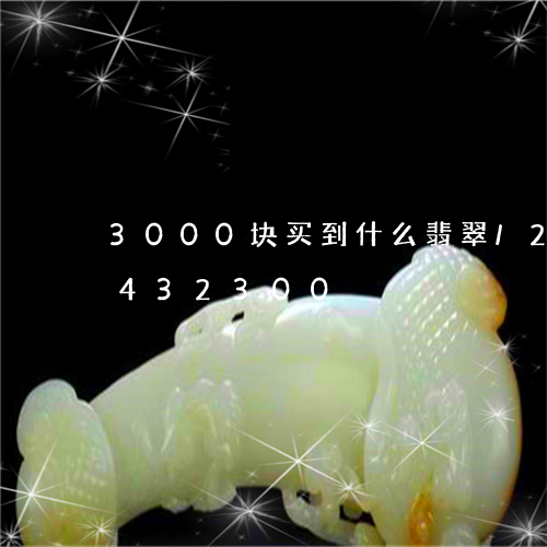 3000块买到什么翡翠/2023031432300