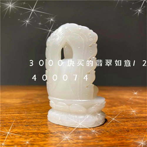 3000块买的翡翠如意/2023031400074