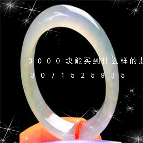 3000块能买到什么样的翡翠佛/2023071525935