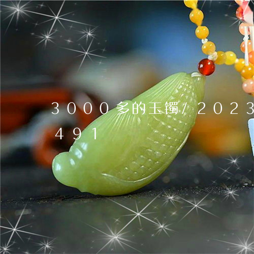 3000多的玉镯/2023042775491