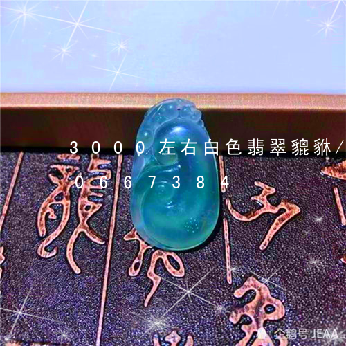 3000左右白色翡翠貔貅/2023110667384