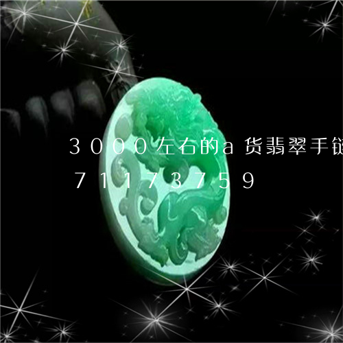 3000左右的a货翡翠手链/2023071173759