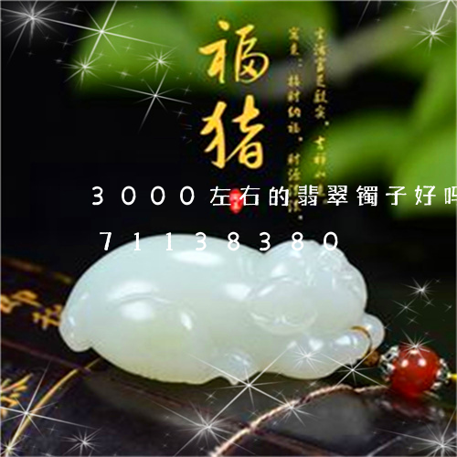 3000左右的翡翠镯子好吗/2023071138380