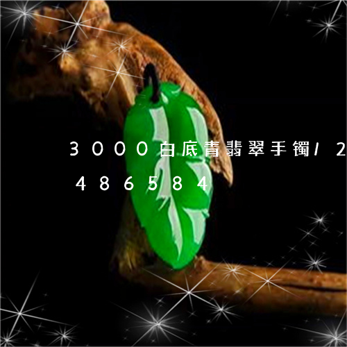 3000白底青翡翠手镯/2023031486584