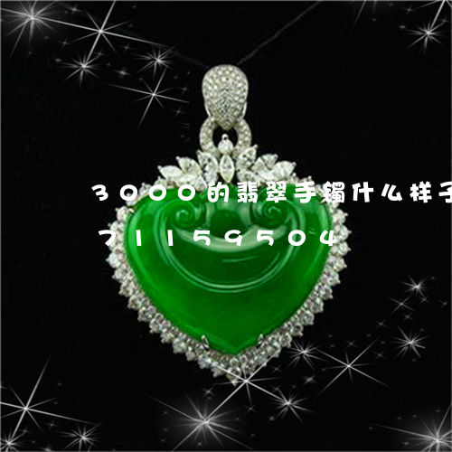 3000的翡翠手镯什么样子/2023071159504