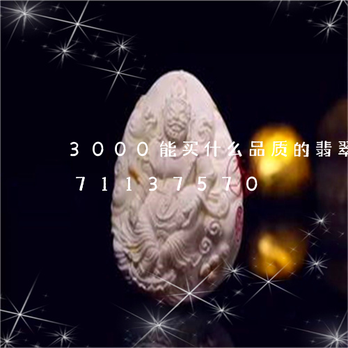 3000能买什么品质的翡翠/2023071137570