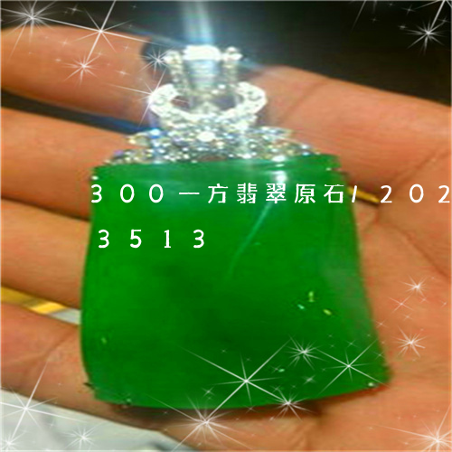 300一方翡翠原石/2023110163513