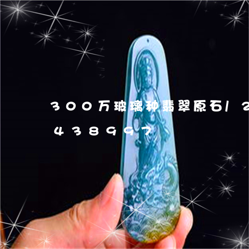 300万玻璃种翡翠原石/2023031438997