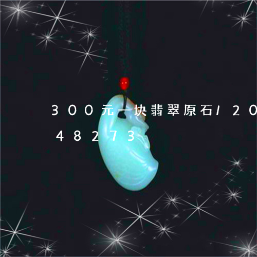 300元一块翡翠原石/2023072148273