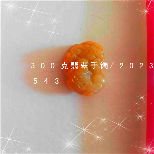 300克翡翠手镯/2023042763543