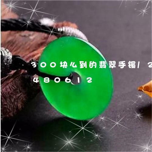 300块么到的翡翠手镯/2023031480612