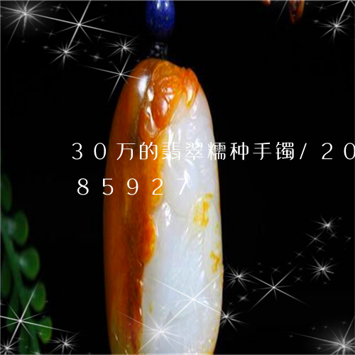 30万的翡翠糯种手镯/2023092885927