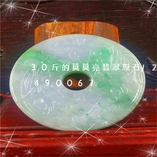 30斤的莫莫亮翡翠原石/2023031490067