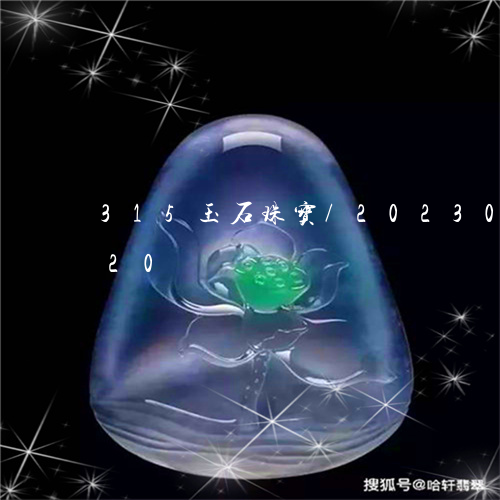 315玉石珠宝/2023033106820