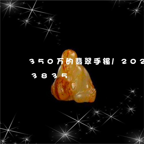 350万的翡翠手镯/2023110193835