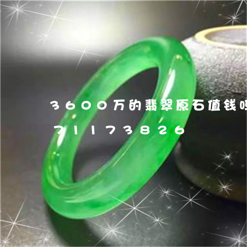 3600万的翡翠原石值钱吗/2023071173826