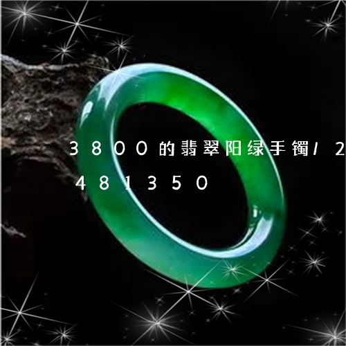 3800的翡翠阳绿手镯/2023031481350