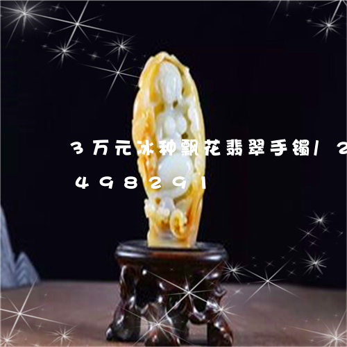 3万元冰种飘花翡翠手镯/2023031498291