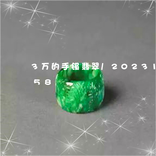 3万的手镯翡翠/2023112404758