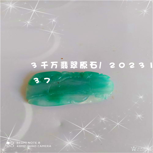 3千万翡翠原石/2023121684037