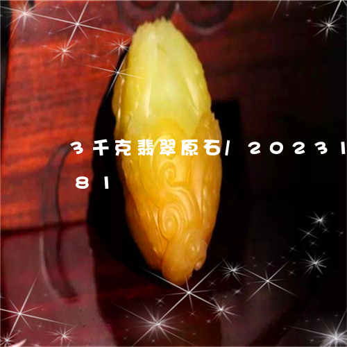 3千克翡翠原石/2023121615381