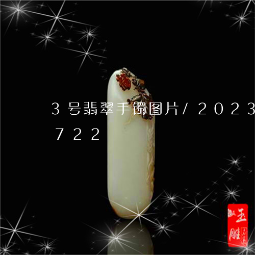 3号翡翠手镯图片/2023042752722