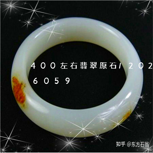 400左右翡翠原石/2023110236059