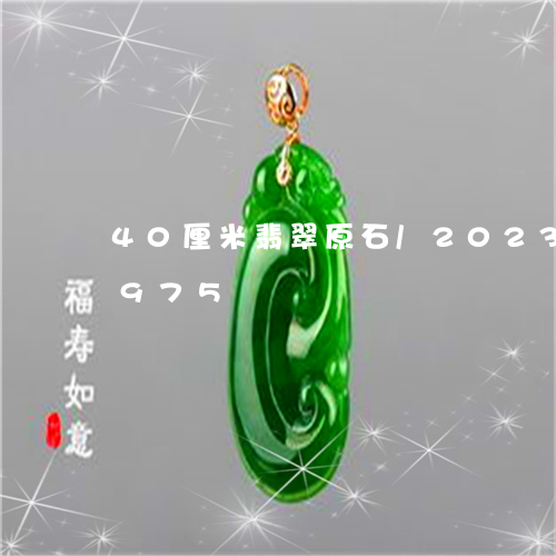 40厘米翡翠原石/2023042748975