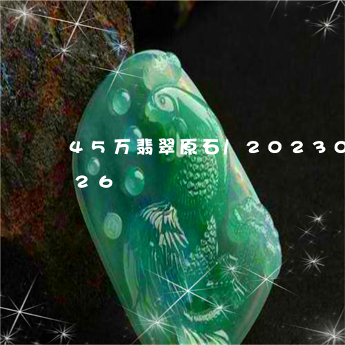 45万翡翠原石/2023033107926