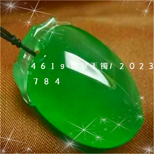 461g翡翠手镯/2023102572784