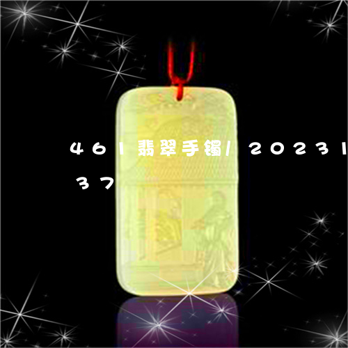 461翡翠手镯/2023121715137