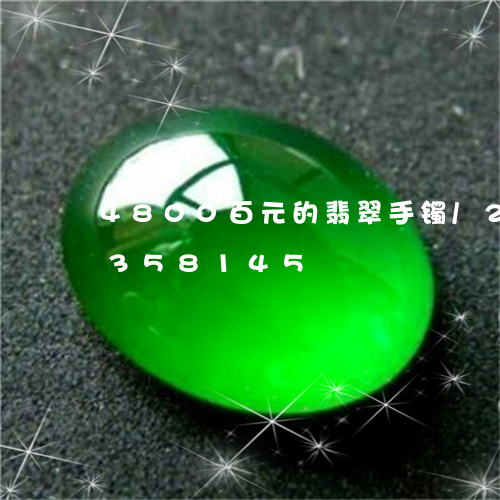 4800百元的翡翠手镯/2023031358145