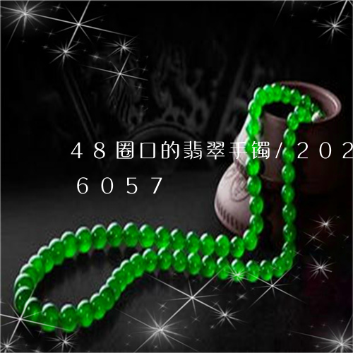 48圈口的翡翠手镯/2023110246057