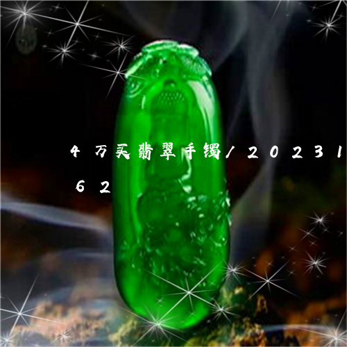 4万买翡翠手镯/2023121750562