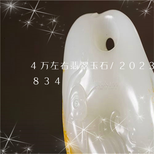 4万左右翡翠玉石/2023042717834