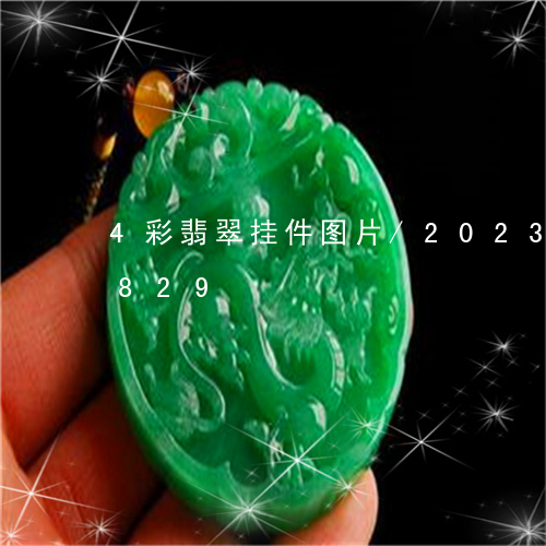 4彩翡翠挂件图片/2023042760829