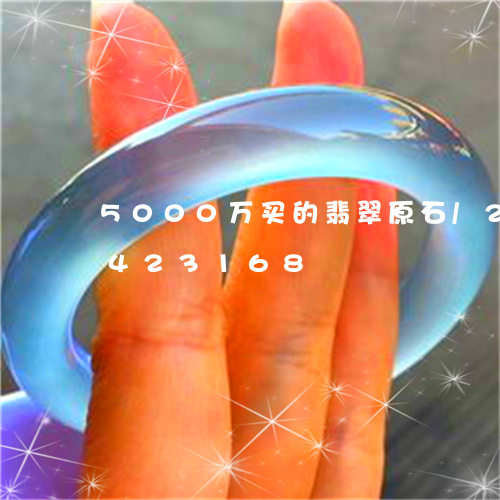 5000万买的翡翠原石/2023031423168