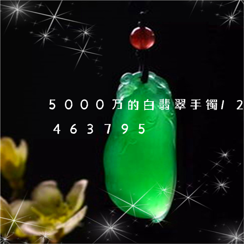 5000万的白翡翠手镯/2023031463795