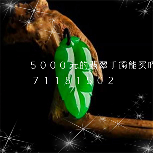 5000元的翡翠手镯能买吗/2023071151502