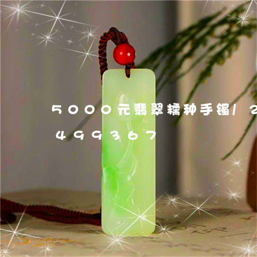 5000元翡翠糯种手镯/2023031499367