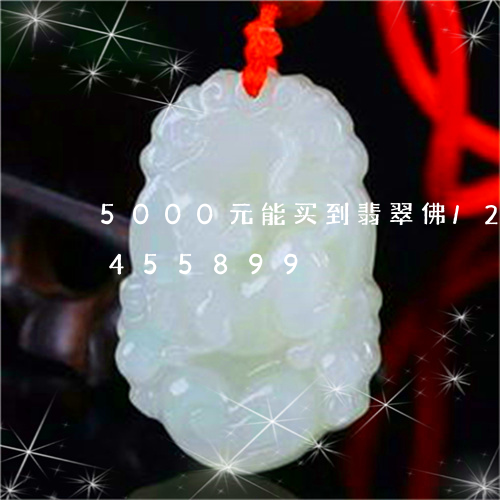 5000元能买到翡翠佛/2023031455899